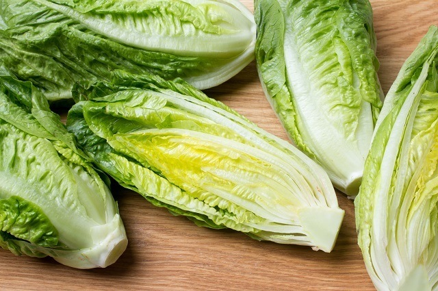 Romaine lettuce 