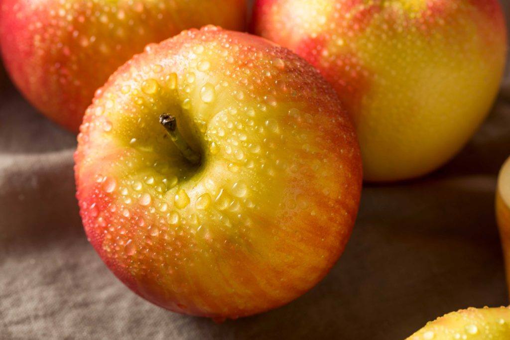 buah apel honeycrisp