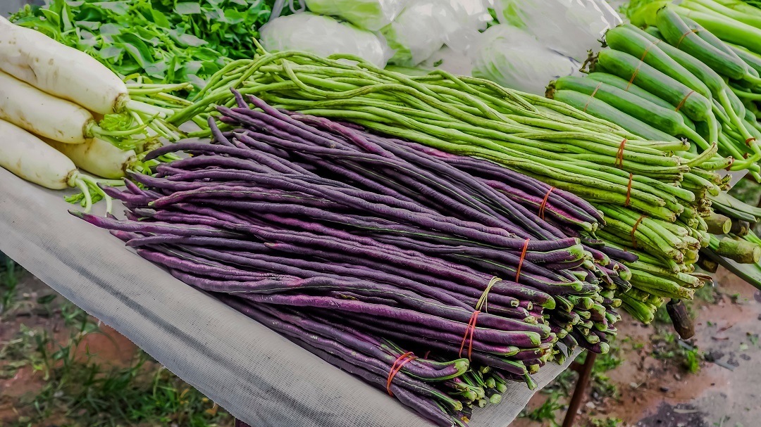 Segudang Manfaat Tumis Kacang Panjang  Bagi Kesehatan 