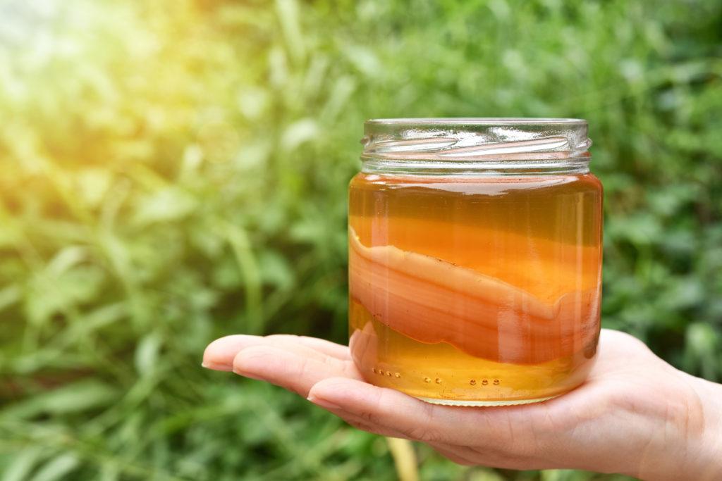 Kombucha adalah teh dengan kandungan SCOBY.