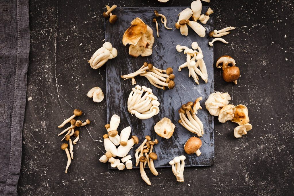 Aneka kenis jamur yang sangat populer di dapur Asia.