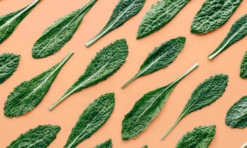 Sayur kale tampil dekoratif.