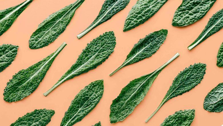 Mengetahui Dahsyatnya Sayur Kale yang Sehat dan 5 Cara Mengolahnya