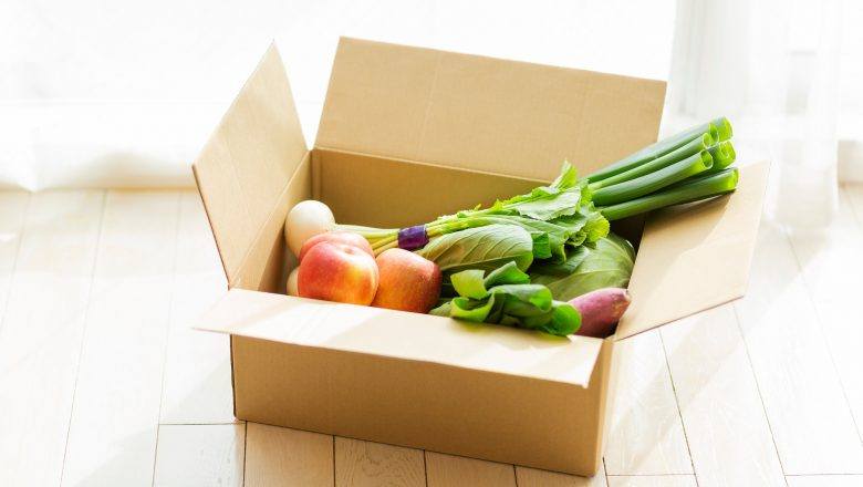 Tips Belanja Online Sayur dan Kebutuhan Pokok yang Efisien