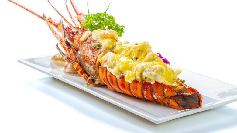 Apa Saja sih Masakan Lobster Khas Restoran yang Terkenal? Cari Tahu, Yuk!