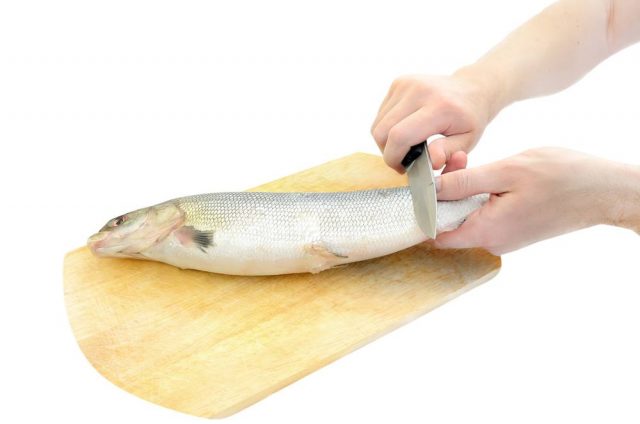 Ikan dibuang sisiknya menggunakan pisau.