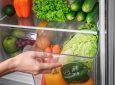 Jenis-jenis sayuran disimpan dalam kulkas.