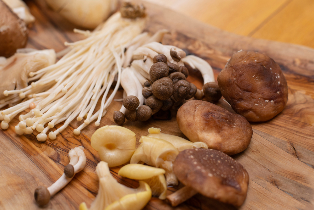 Berbagai jenis jamur di atas permukaan kayu.